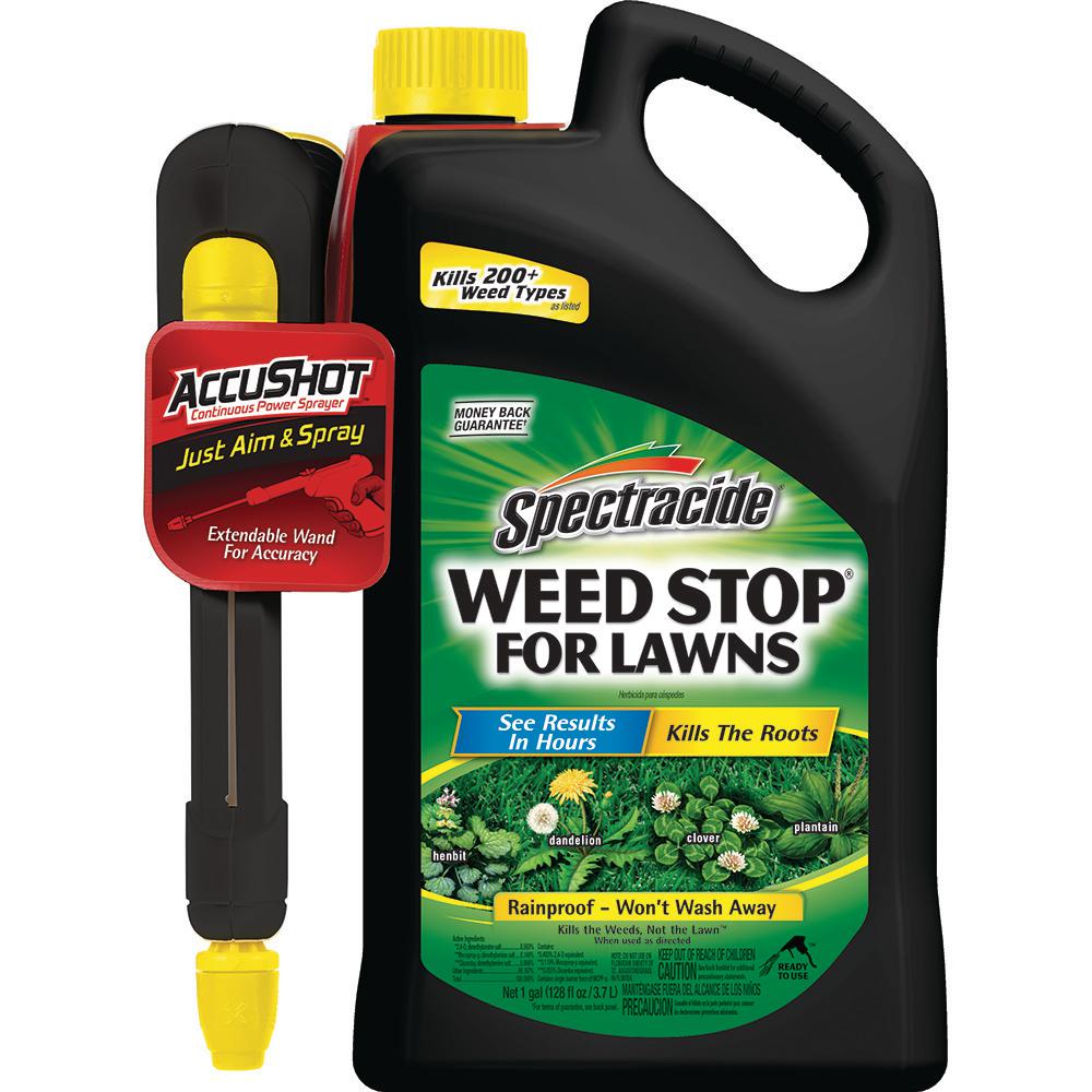 Virginia Buttonweed Lawn Weed Killer Weed Killer The Home Depot