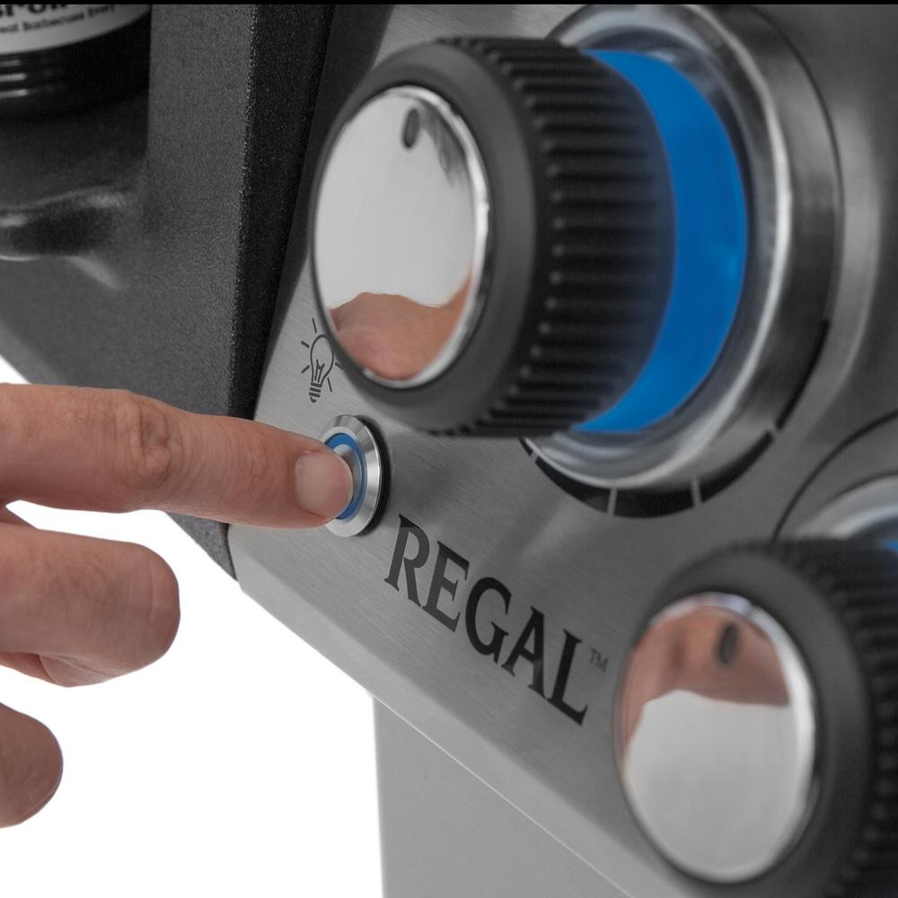 broil king regal s590