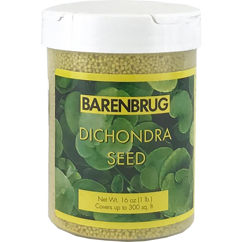 Barenbrug 1 lb. Dichondra Grass Seed37301 The Home Depot