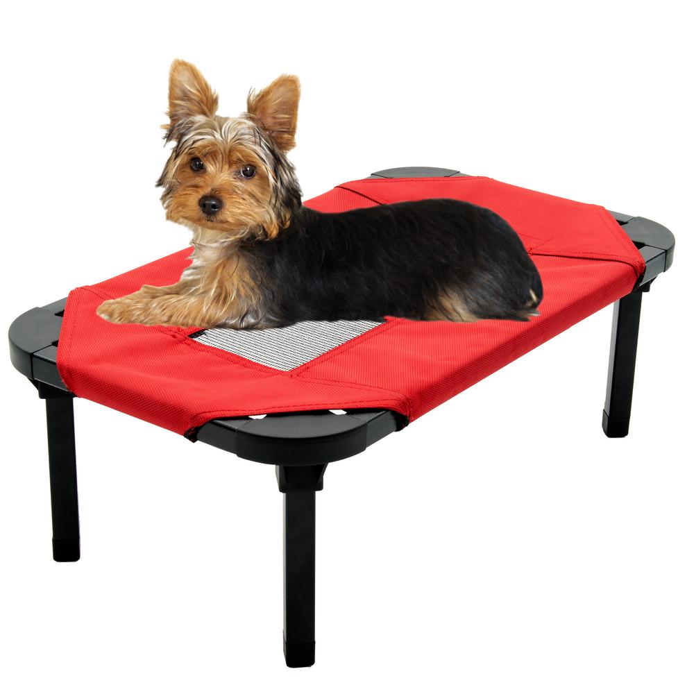 elevated dog bed