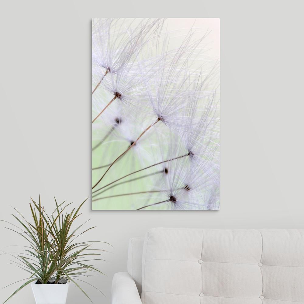 Greatbigcanvas Dandelion Seed Puffs By Mike Moats Canvas Wall Art