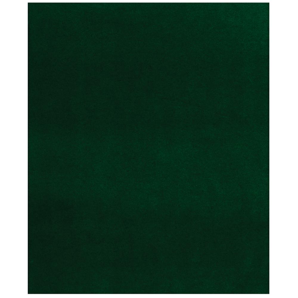 Foss Fairway Green 6 Ft X 8 Indoor Outdoor Area Rug 7a25486pj1l1 The Home Depot - How To Remove Green Mold From Outdoor Rug Foss Fairway Green 6 Ft X 8 Indoor Outdoor Area Rug 7a25486pj1l1 The Home Depot - How To Remove Green Mold From Outdoor Rug