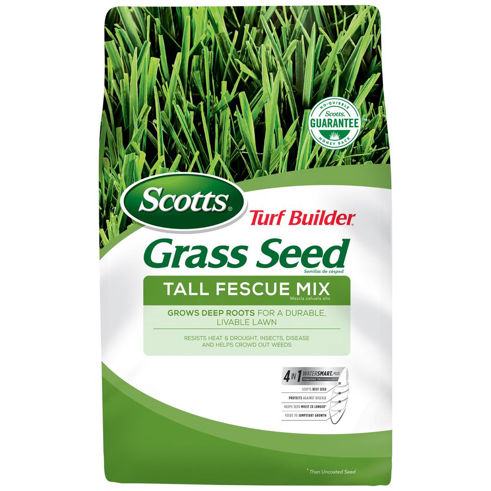 Scotts Ez Seed Sun Shade 175 Patch For St Augustine Grass Ornamental Grasses Home Garden