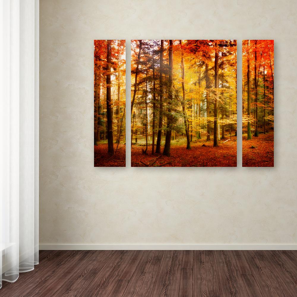 Trademark Fine Art 30 In X 41 In Brilliant Fall Color By Philippe Sainte Laudy Printed Canvas Wall Art Psl0225 3pc Set Lg The Home Depot