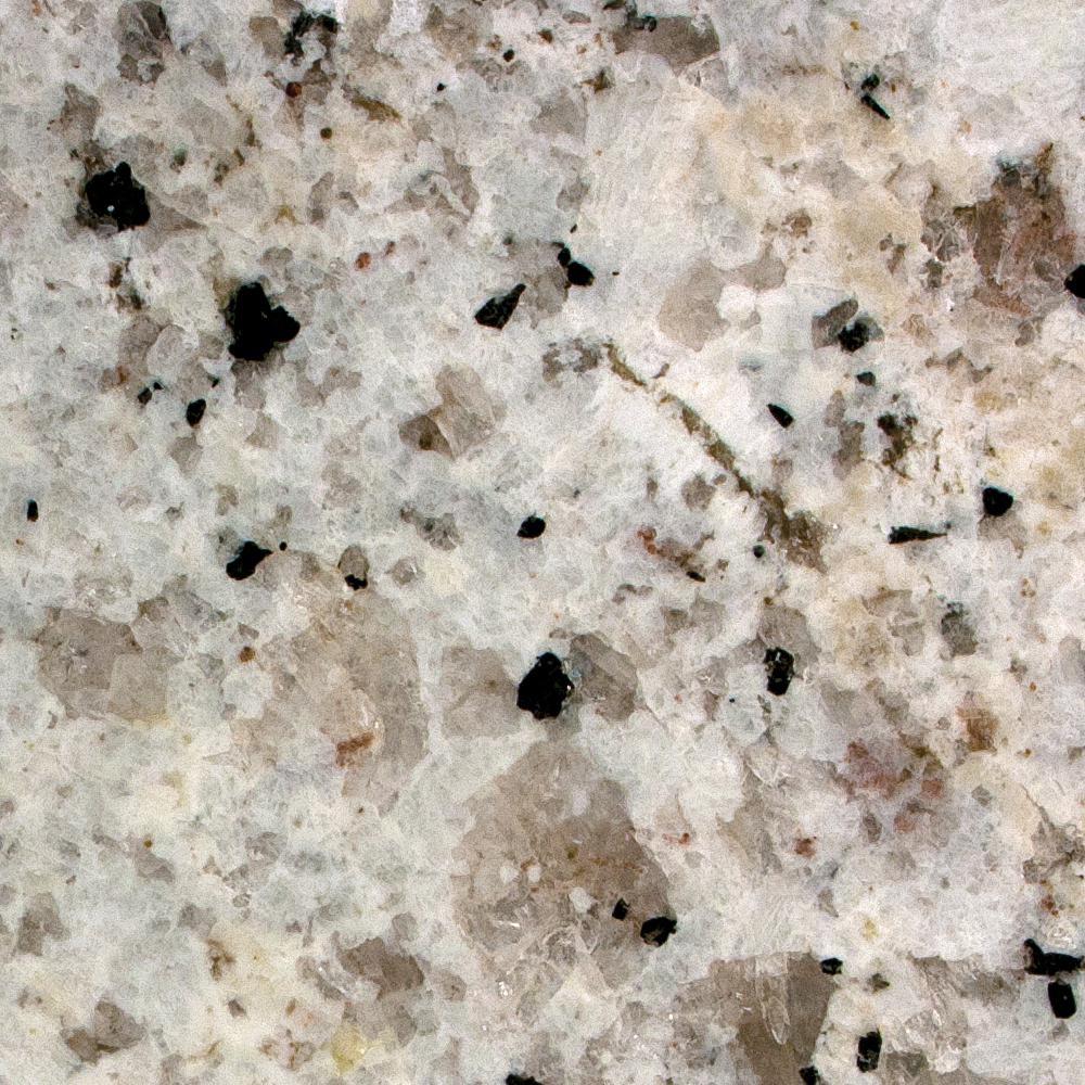 Stonemark 3 in. x 3 in. Granite Countertop Sample in Andino White-P-RSL