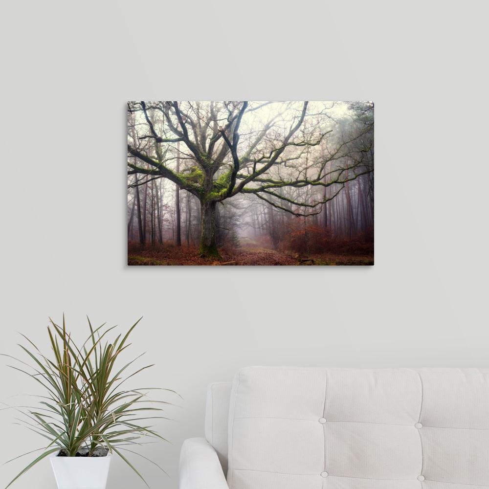Greatcanvas The Old Octopus Oak Tree By Philippe Manguin Canvas The Old Octopus Oak Tree By Philippe Manguin Canvas Wall Art