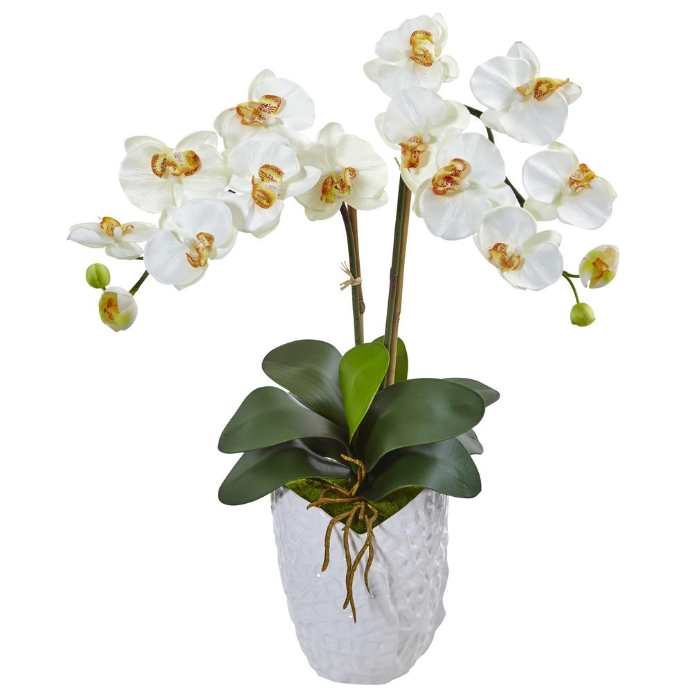 Indoor Double Phalaenopsis Orchid Silk Arrangement in White Vase
