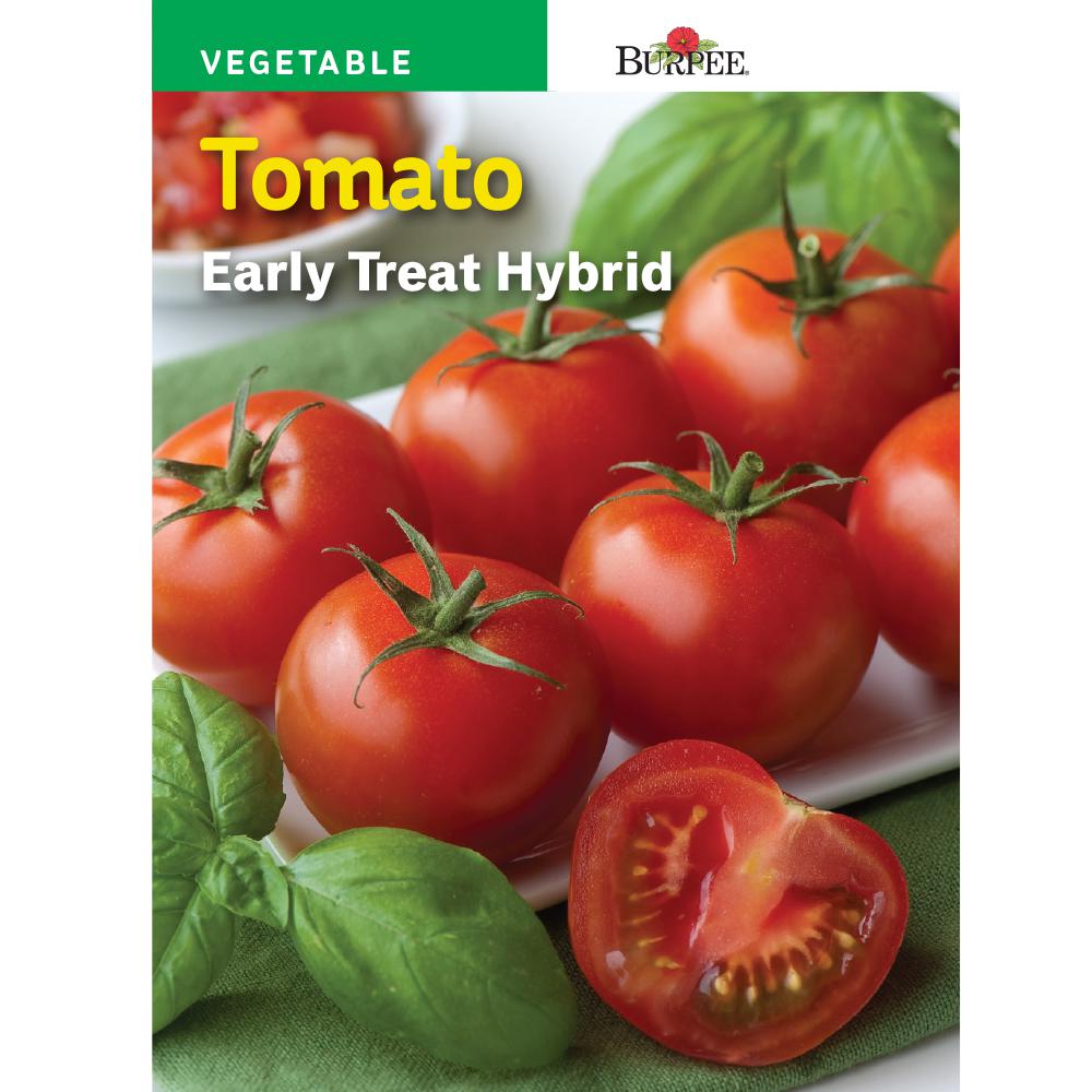 Burpee Tomato Early Treat Hybrid Seed 64658 The Home Depot