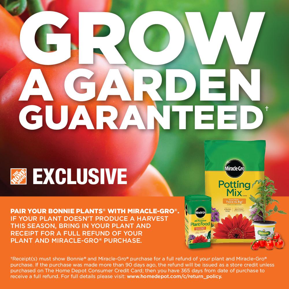 Miracle Gro Water Soluble 1 5 Lb All Purpose Plant Food Miracle Gro Water Soluble 1 5 Lb All Purpose Plant Food