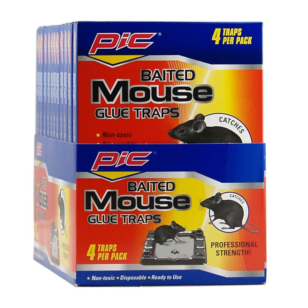 PIC Baited Mouse Glue Traps (48-Pack)-GT-4-H - The Home Depot
