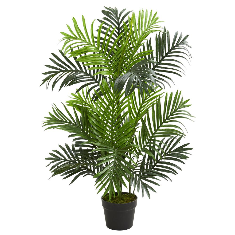 Nearly Natural Indoor 3 Ft Paradise Palm Artificial Tree 5498 The Home Depot,Dog Seizures Cause