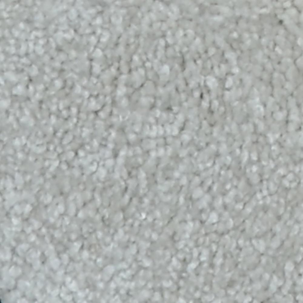 Platinum Plus Carpet Sample Harvest III Color Jasper Texture 8 in