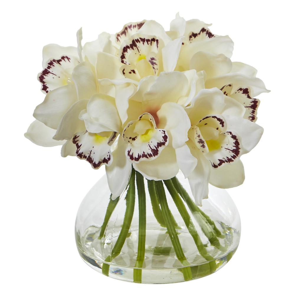 cymbidium