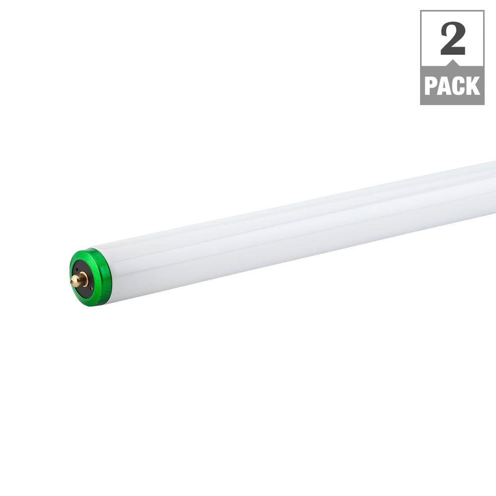 8 Ft t12 fluorescent tube