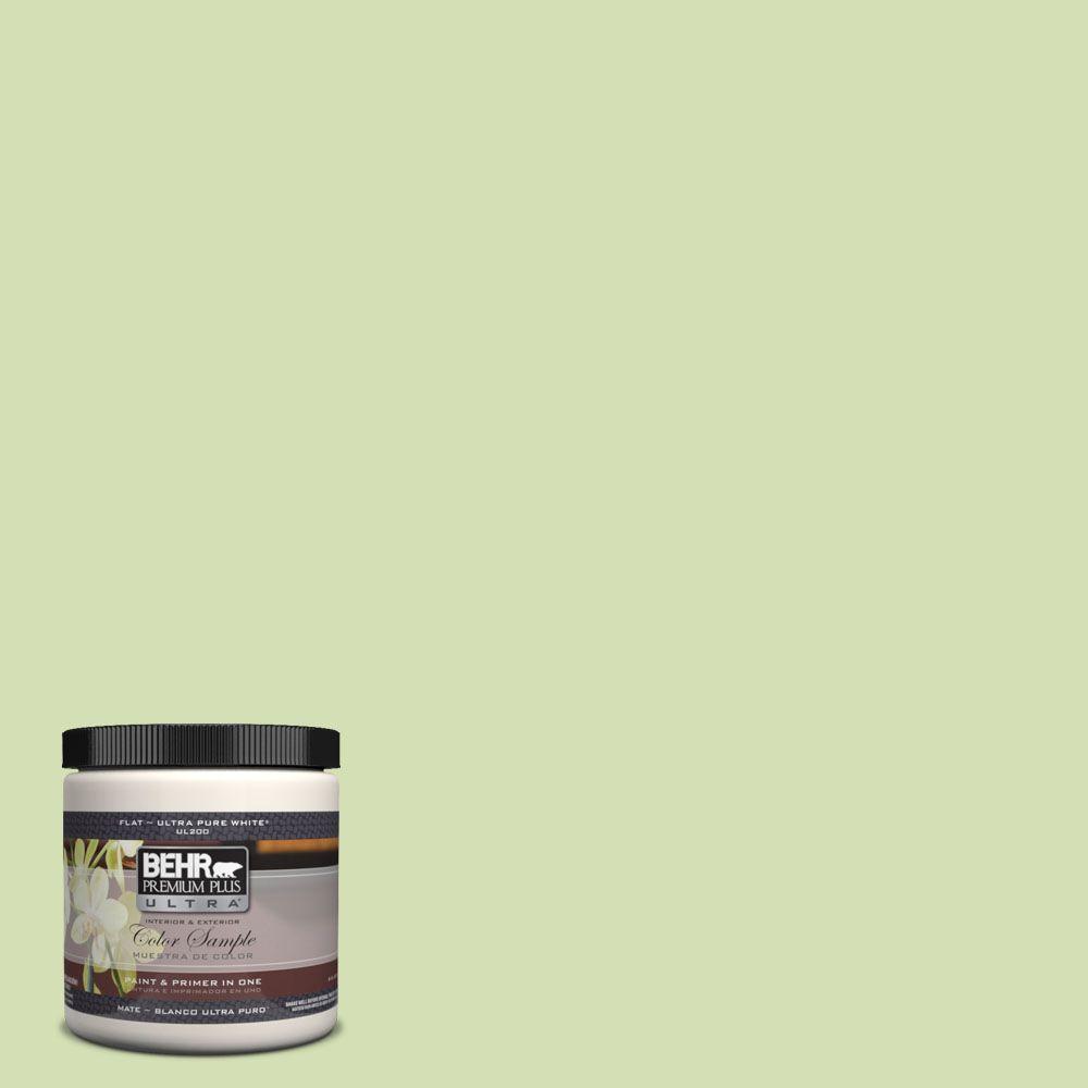 Behr Premium Plus Ultra 8 Oz 420c 3 Celery Bunch Matte Interior 420c 3 Celery Bunch Matte Interior Exterior Paint And Primer In One Sample