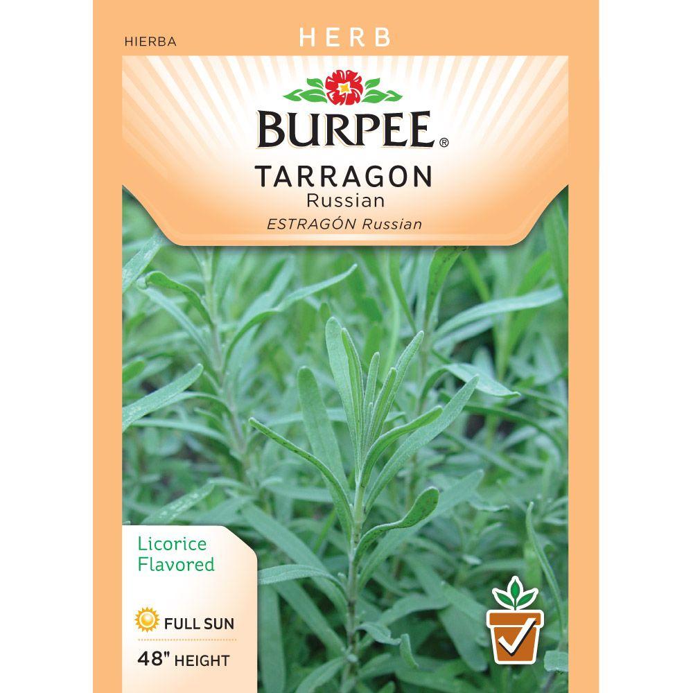 Burpee Herb Tarragon Seed62098 The Home Depot