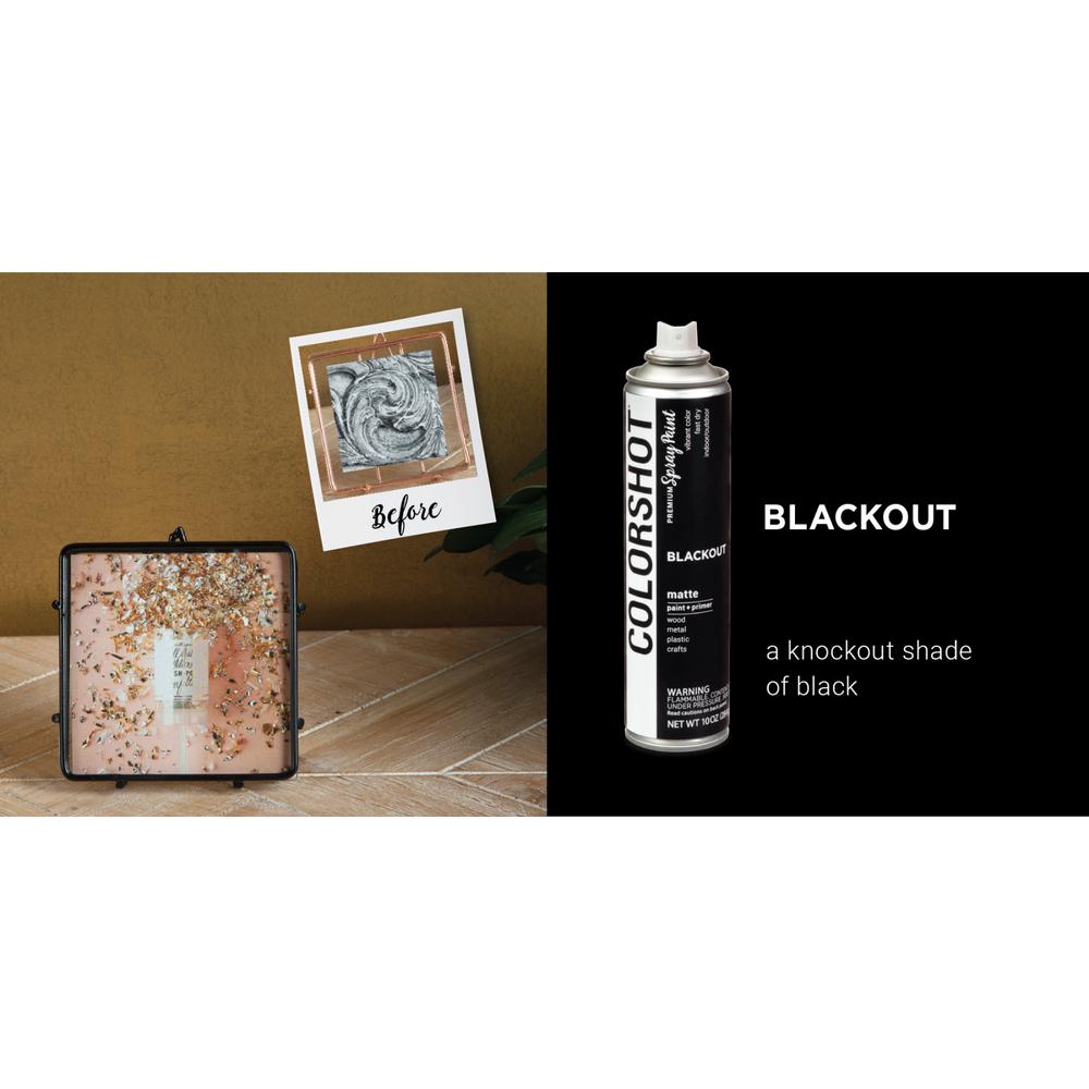 Colorshot 10 Oz Matte Blackout Black General Purpose Aerosol Spray Paint 6 Pack