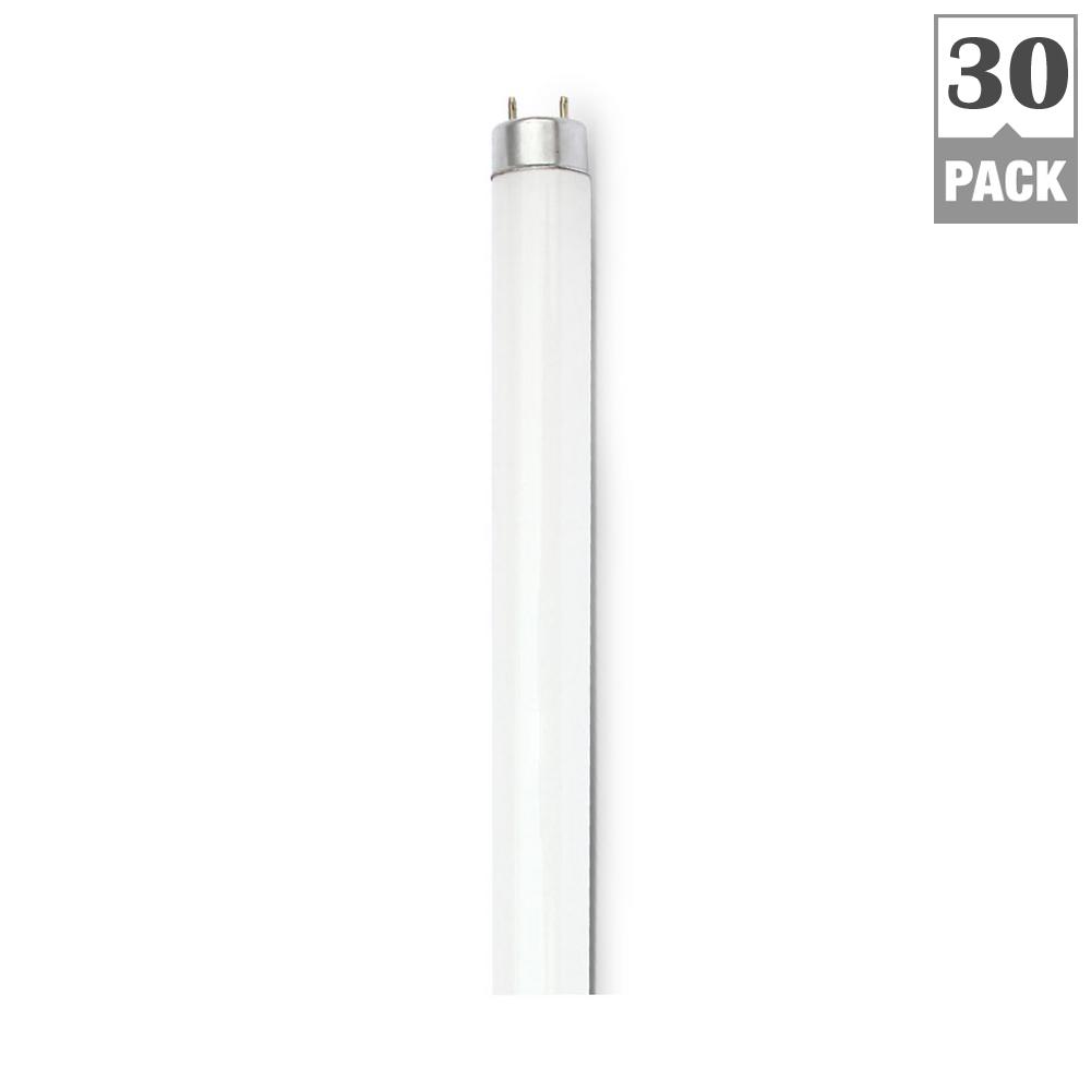 Commercial Electric 32Watt Linear T8 Fluorescent Light Bulb Cool White (30Pack)F32T8/841