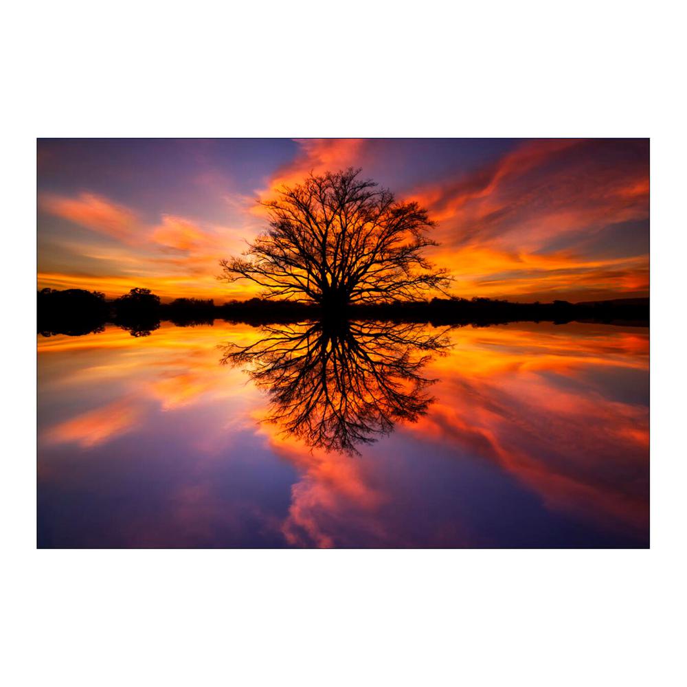 Yosemite Home Decor 47 In X 32 Balance Tempered Glass Wall