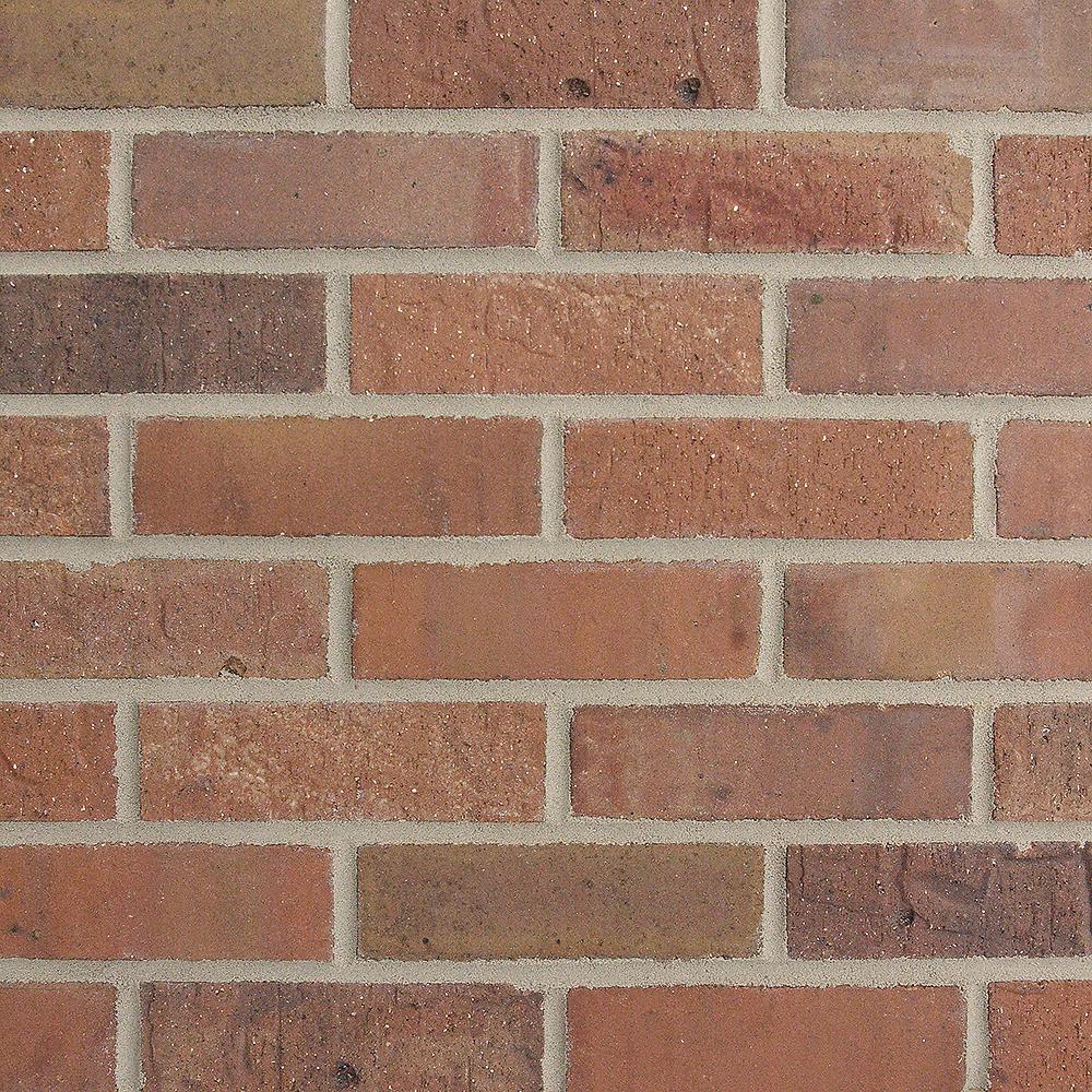 Old Mill Brick Brickwebb Sample Cordova 8 in. x 8 in. x 13mm Cement