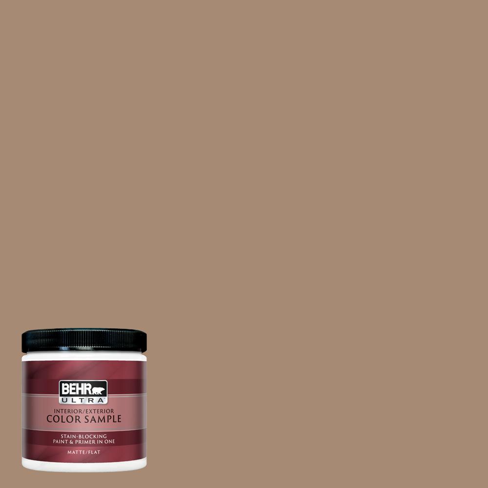 tan paint samples