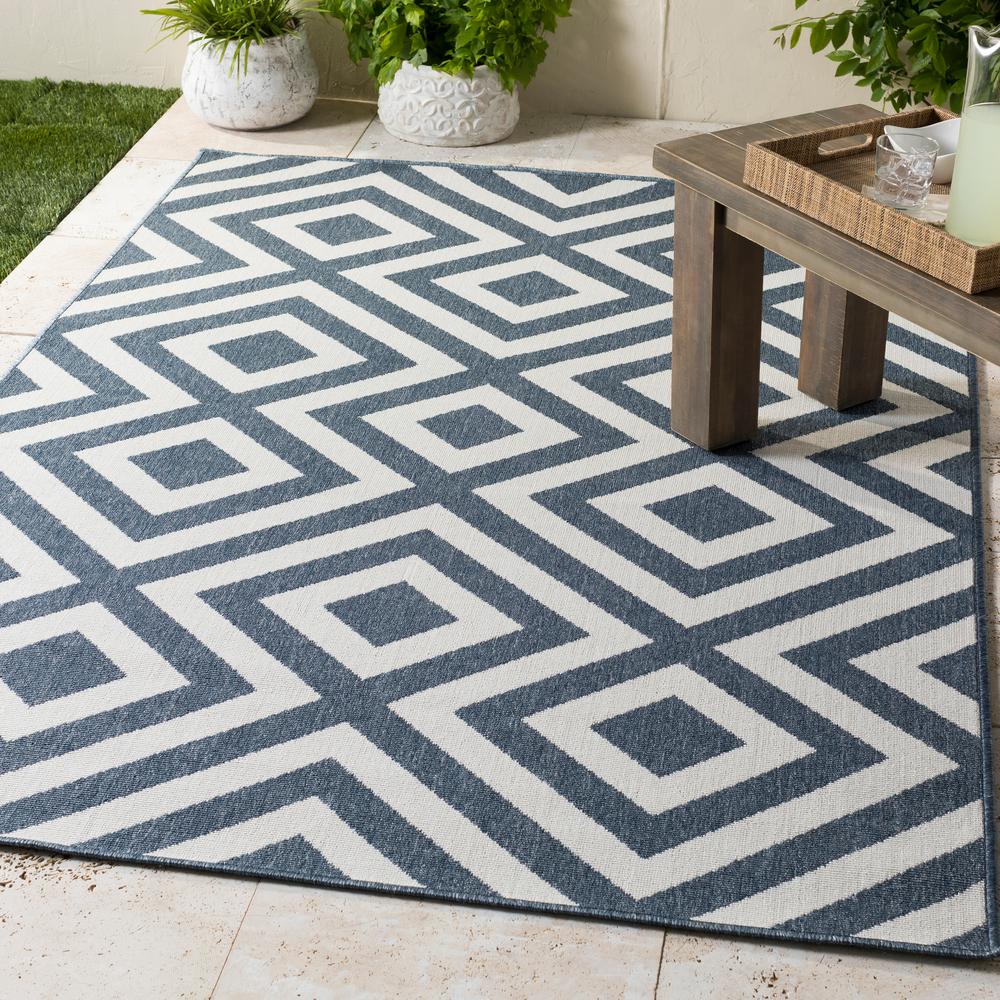 9 X 13 Outdoor Rugs Rugs The Home Depot