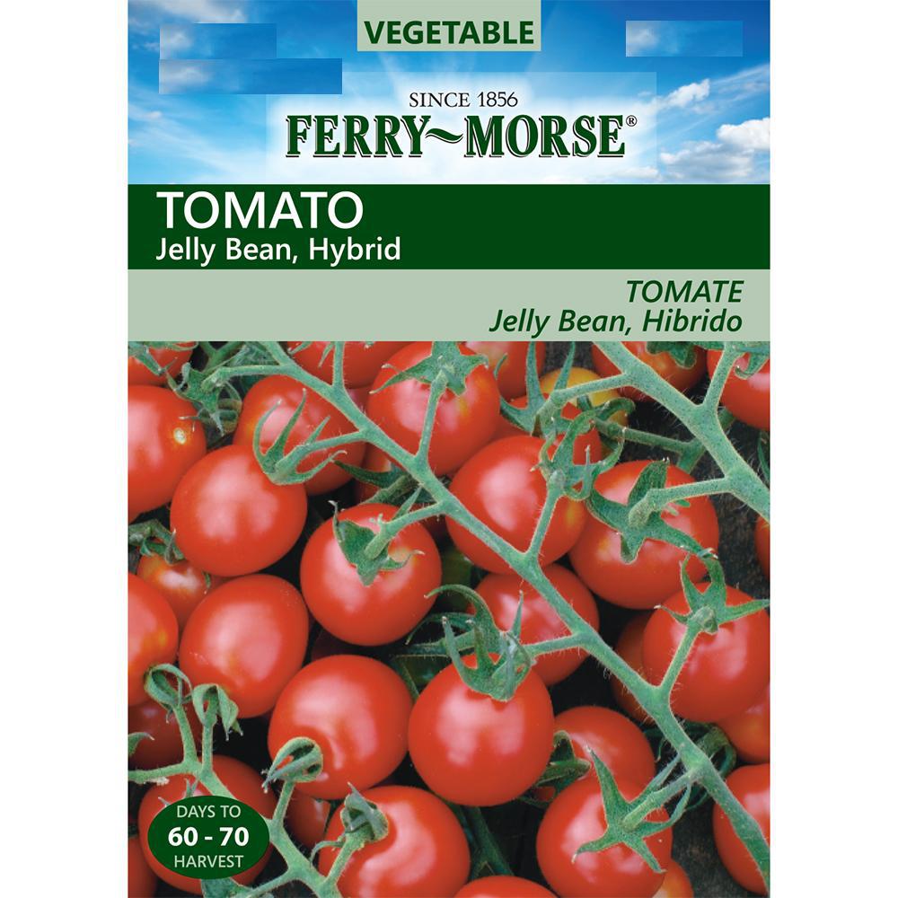 FerryMorse Tomato Jelly Bean Hybrid Seed8103 The Home Depot