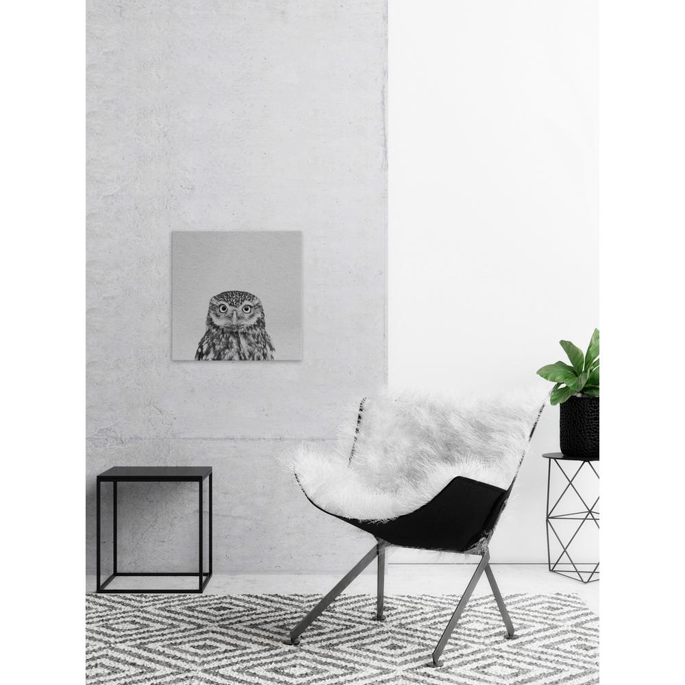 18 In H X 18 In W Black White Owl By Marmont Hill Canvas