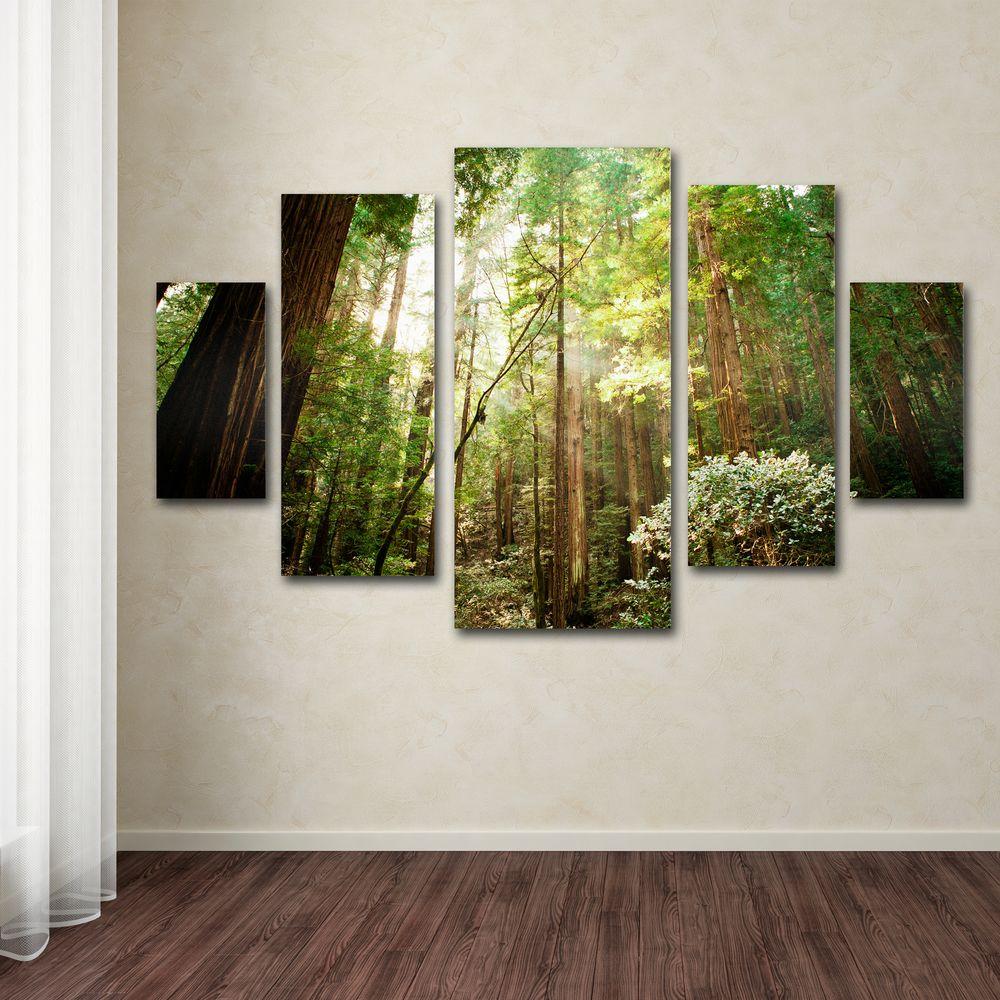 Trademark Fine Art Muir Woods By Ariane Moshayedi 5 Panel Wall Trademark Fine Art Muir Woods By Ariane Moshayedi 5 Panel Wall Set