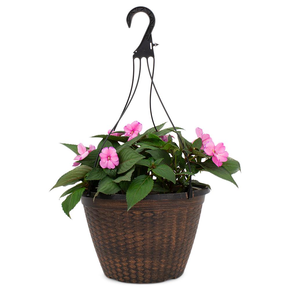 SunPatiens 2 Gal. SunPatiens Pink Impatien Outdoor Annual Plant with