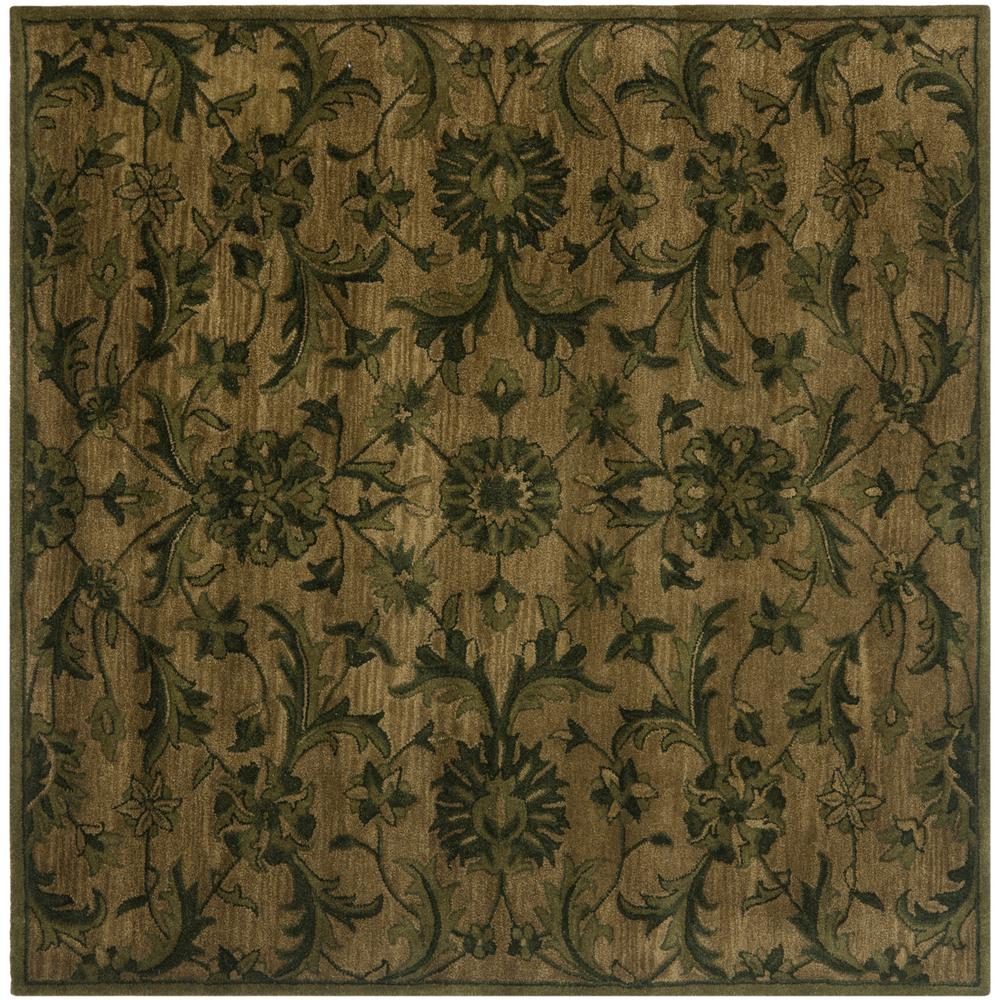 Safavieh Antiquity Olive/Green 6 ft. x 6 ft. Square Area RugAT824A6SQ