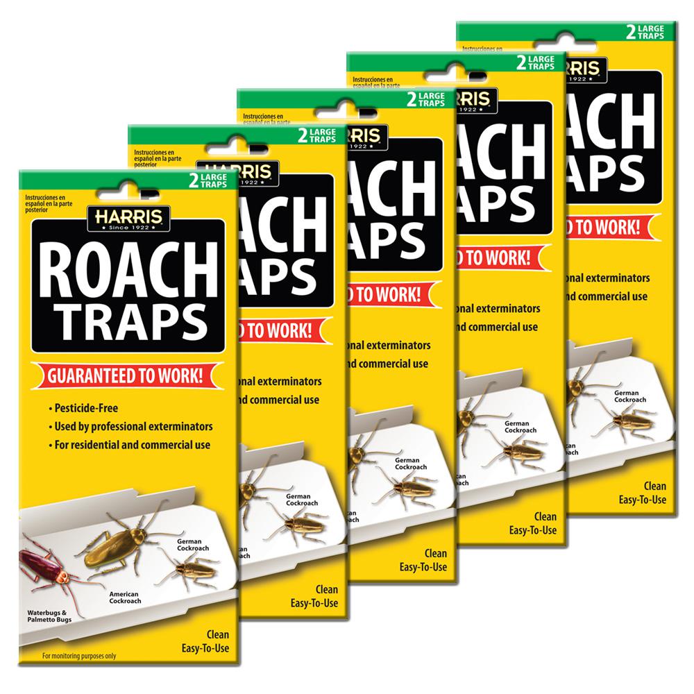 Harris Roach Trap Value Pack Rtrpvp The Home Depot