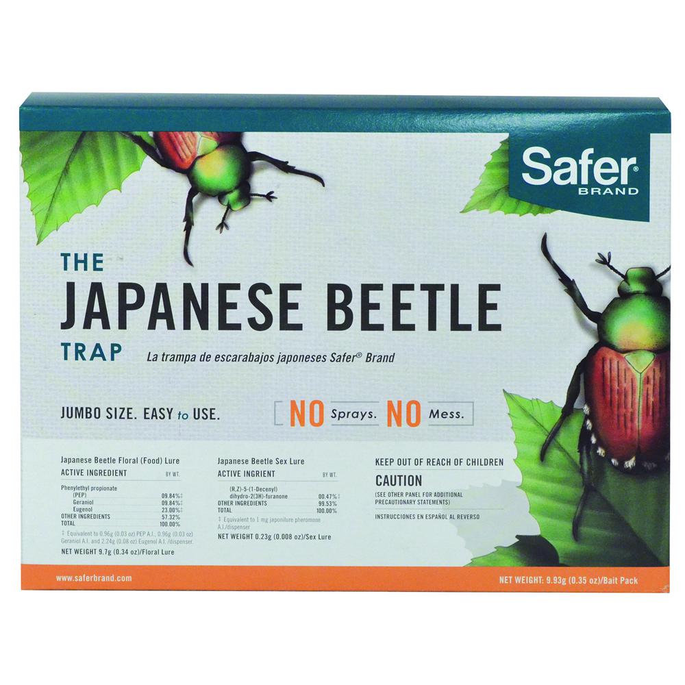 for asian beetles Trap
