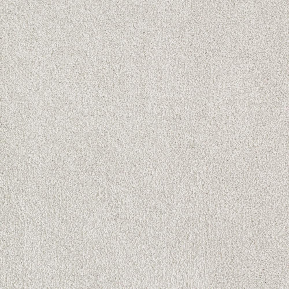 PetProof Carpet Sample - Playful Moments II Tonal - Color Silver Shadow ...