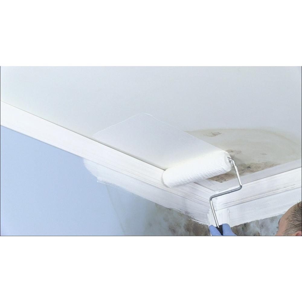 Mold Killing Primer Paint/Stain 5 gal.Mold,Mildew Water Damage Drywall