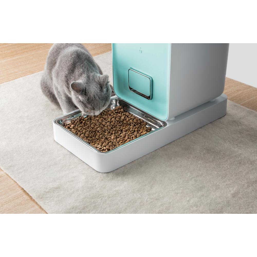 petkit cat feeder