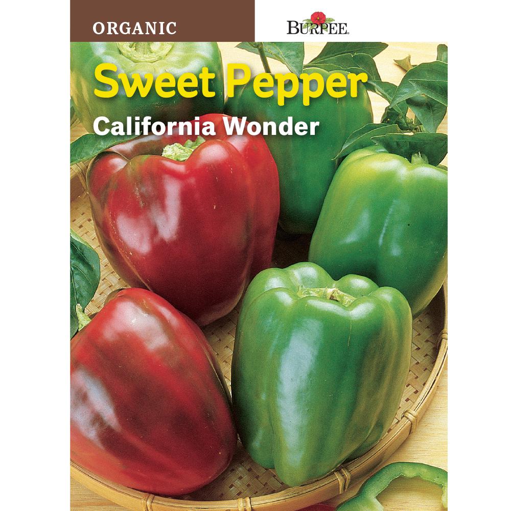 thumbnail image 2 of Eight Pepper Seed Collection - Big Red, Cayenne, Jalapeño 2 of 10