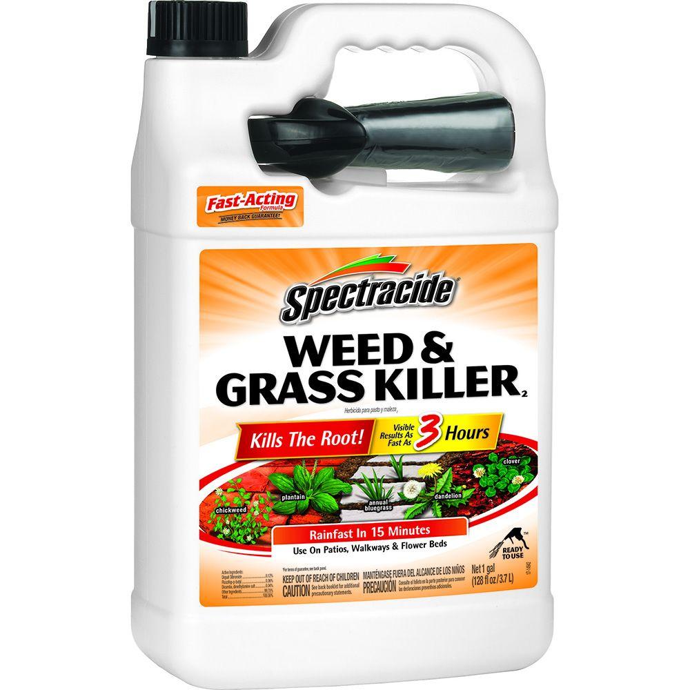 Spectracide Weed and Grass Killer 128 oz. ReadytoUse SprayerHG96017