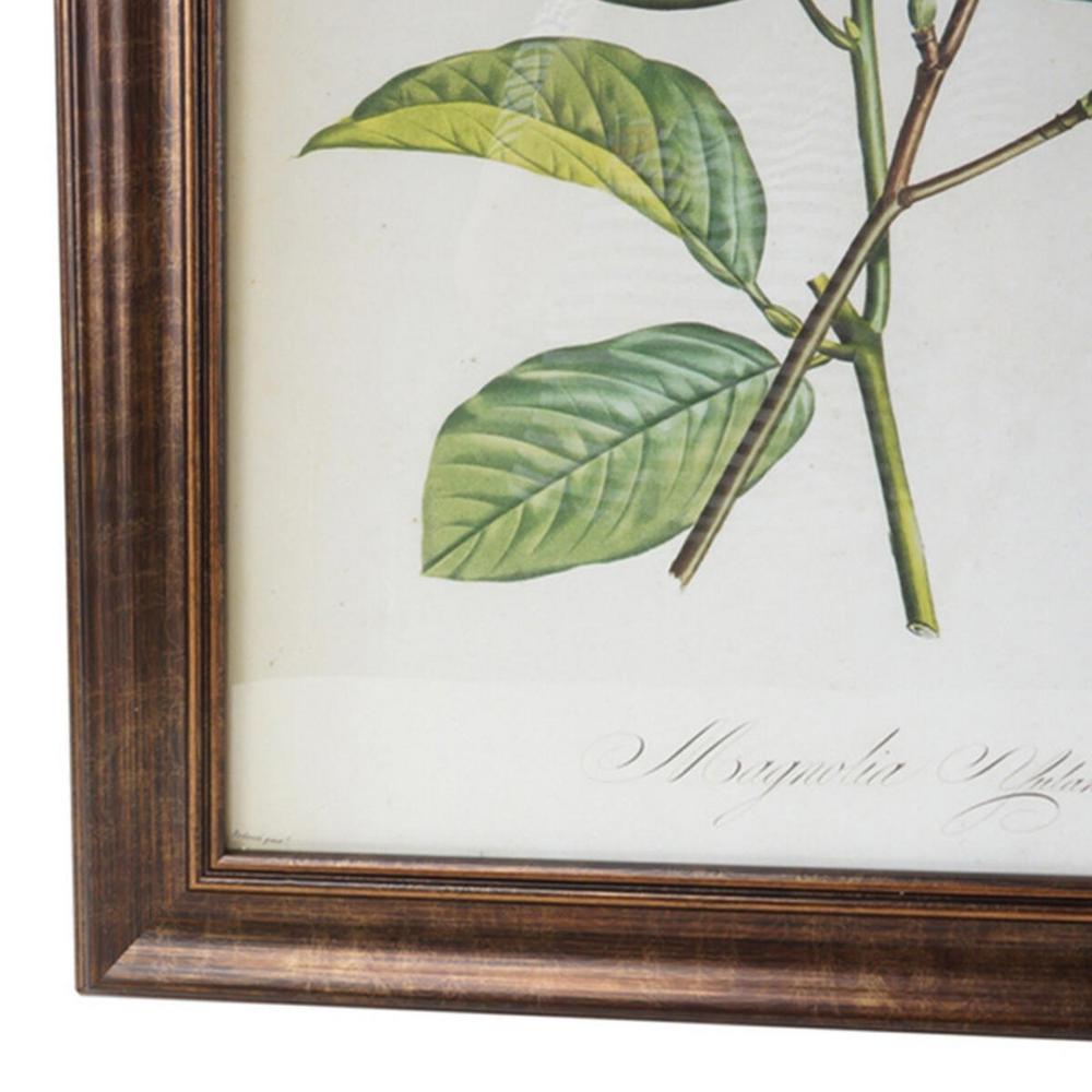 Home Decorators Collection Home Decorators Collection Antiqued