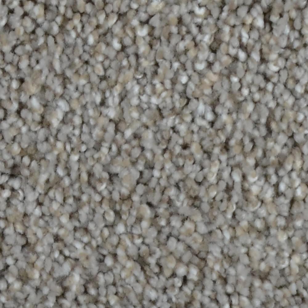 Home Decorators Collection Reign Color Highland Texture 12 ft. Carpet