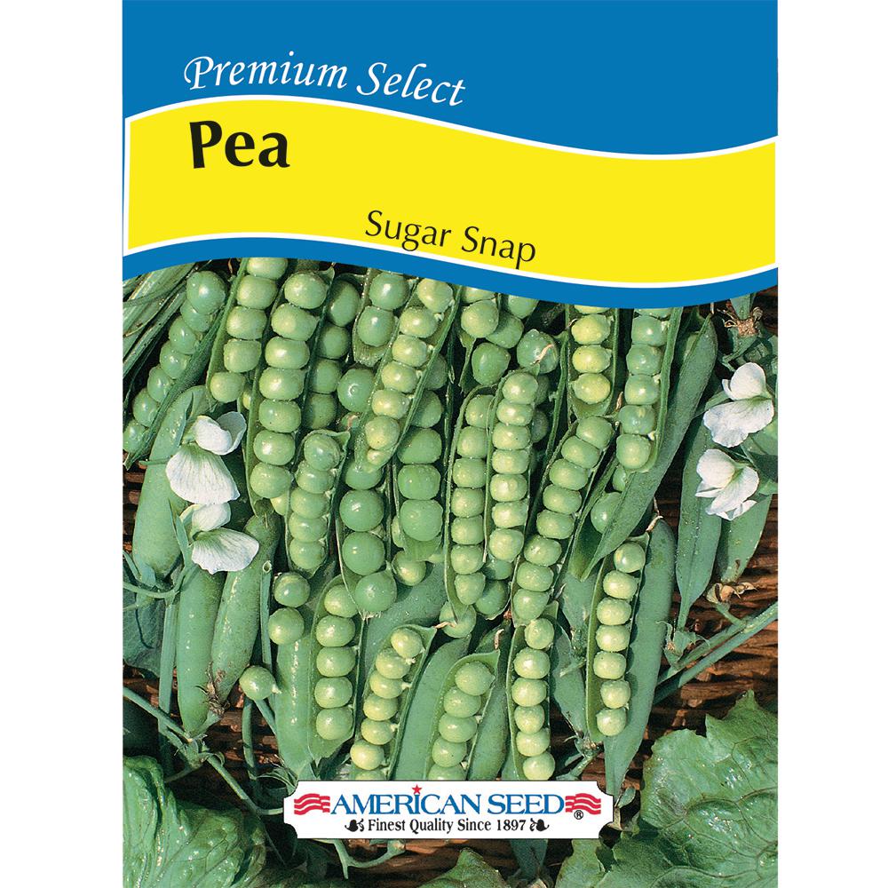 American Seed Pea Sugar Snap AM Seed6026 The Home Depot