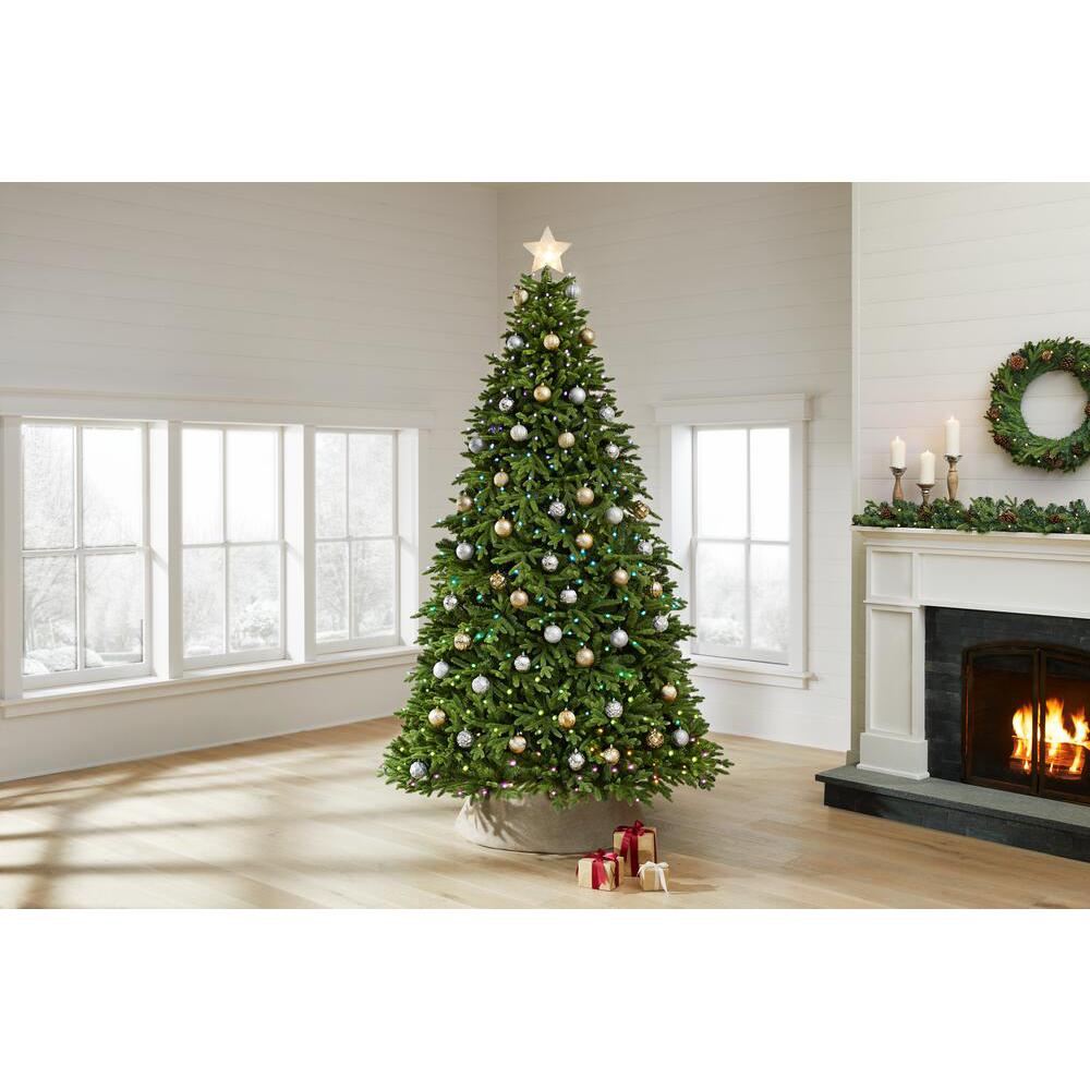 Reviews For Home Decorators Collection 9 Ft Swiss Mountain Black Spruce Ly Rainbow Christmas Tree With 600 Rgb Led Technology Lights Tg90p4969p07 The 600 Rgb Led Technology Lights