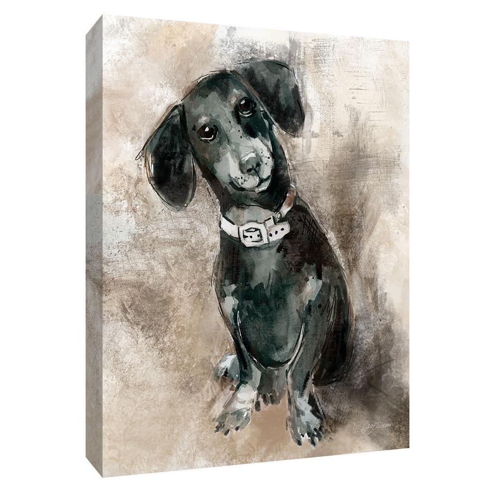 12 In X 10 Sketchy Study Dachshund Canvas Wall Art