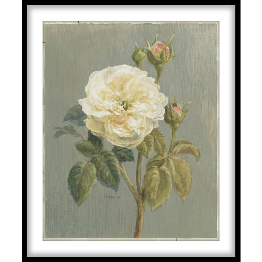 Ptm Images 9 75 In X 11 Heirloom White Rose Framed Wall Heirloom White Rose Framed Wall Art 1 76210 The Home Depot