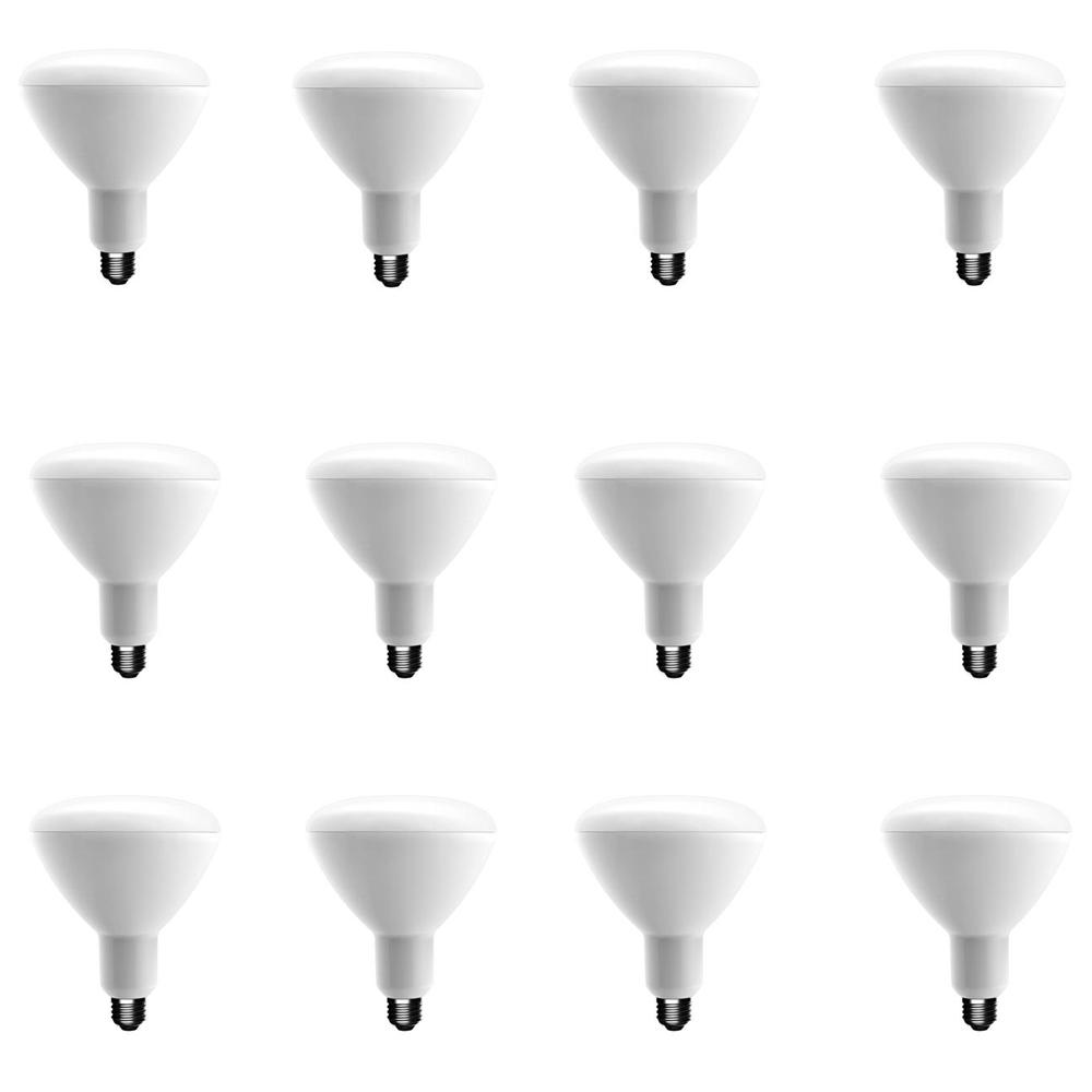 EcoSmart 75-Watt Equivalent BR40 Dimmable LED Light Bulb Soft White (12 ...