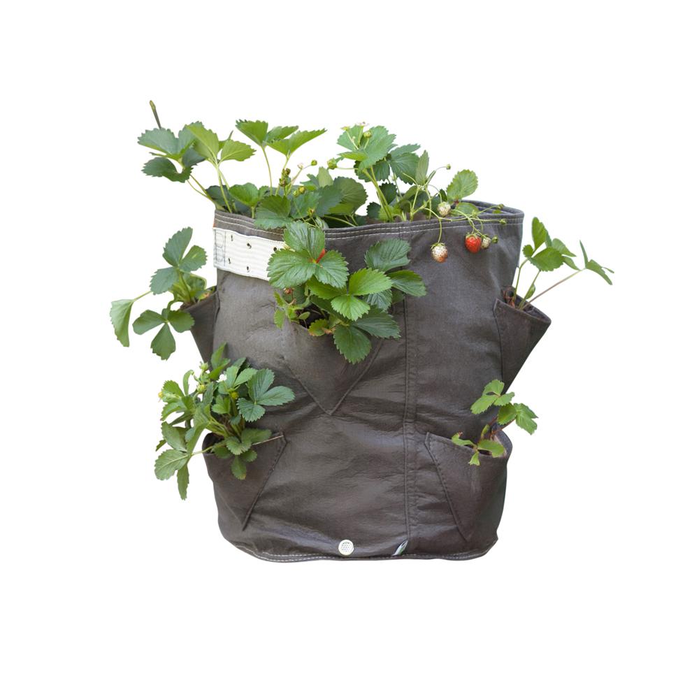 Bloem 9 Gal. Calypso Fabric Strawberry Planter BagSBP27 The Home Depot