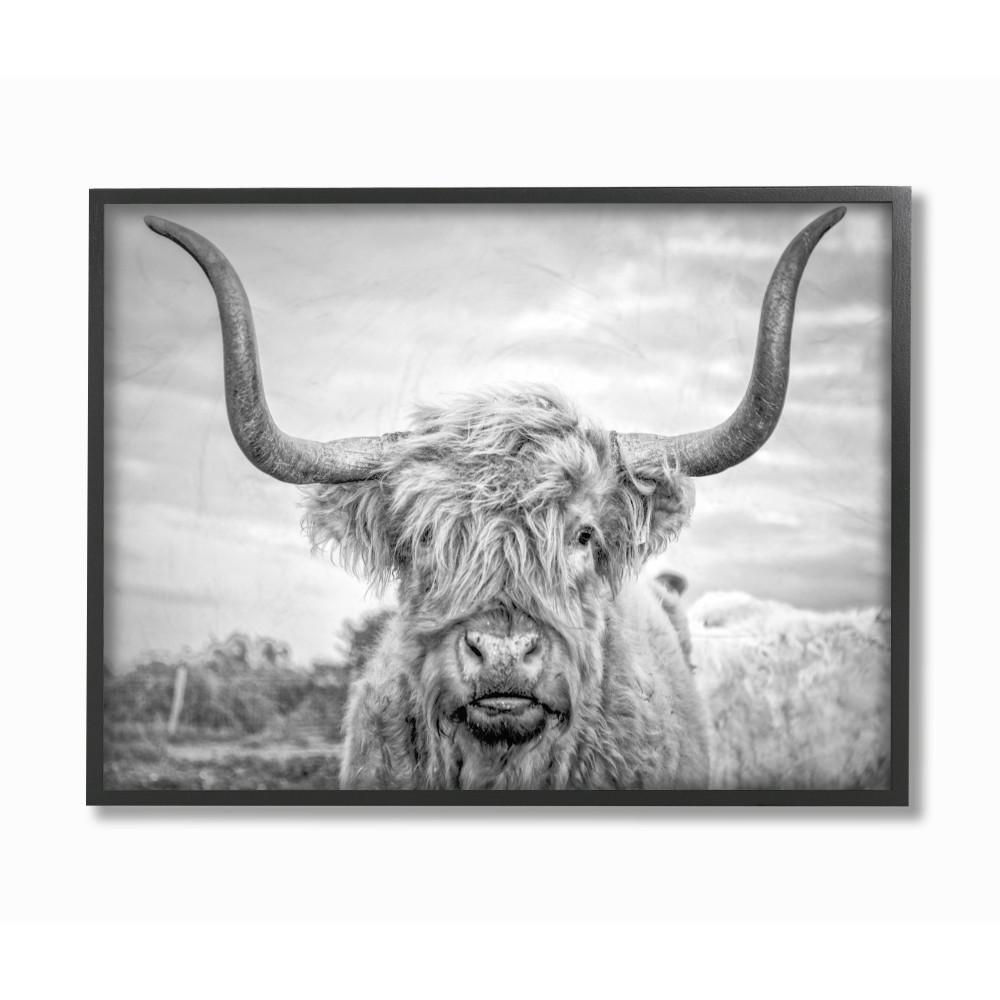 The Stupell Home Decor Collection 16 in. x 20 in. "Black ...