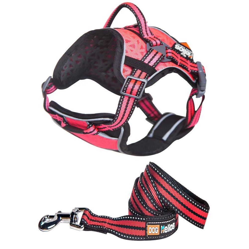 pink dog harness and leash