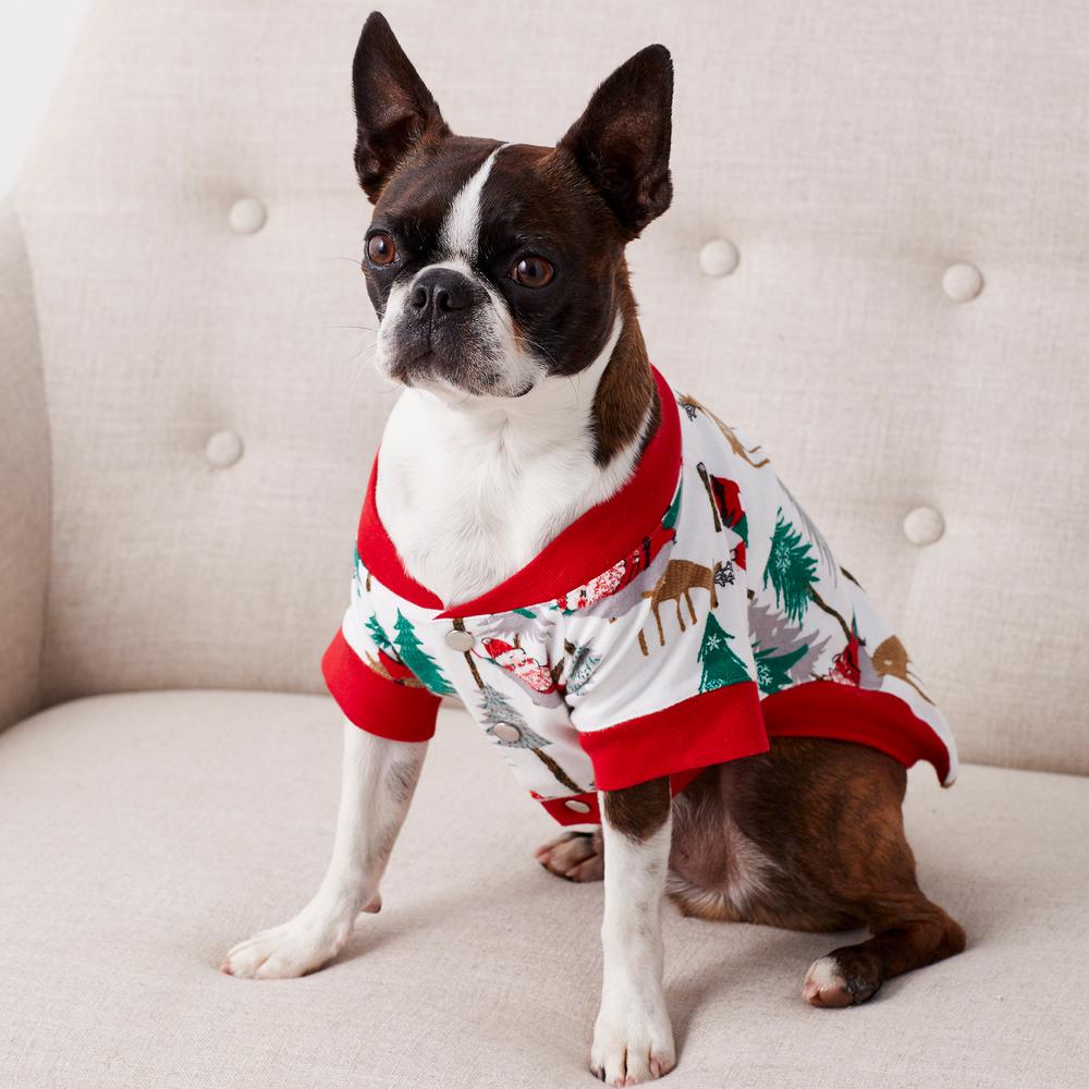 extra small dog pajamas