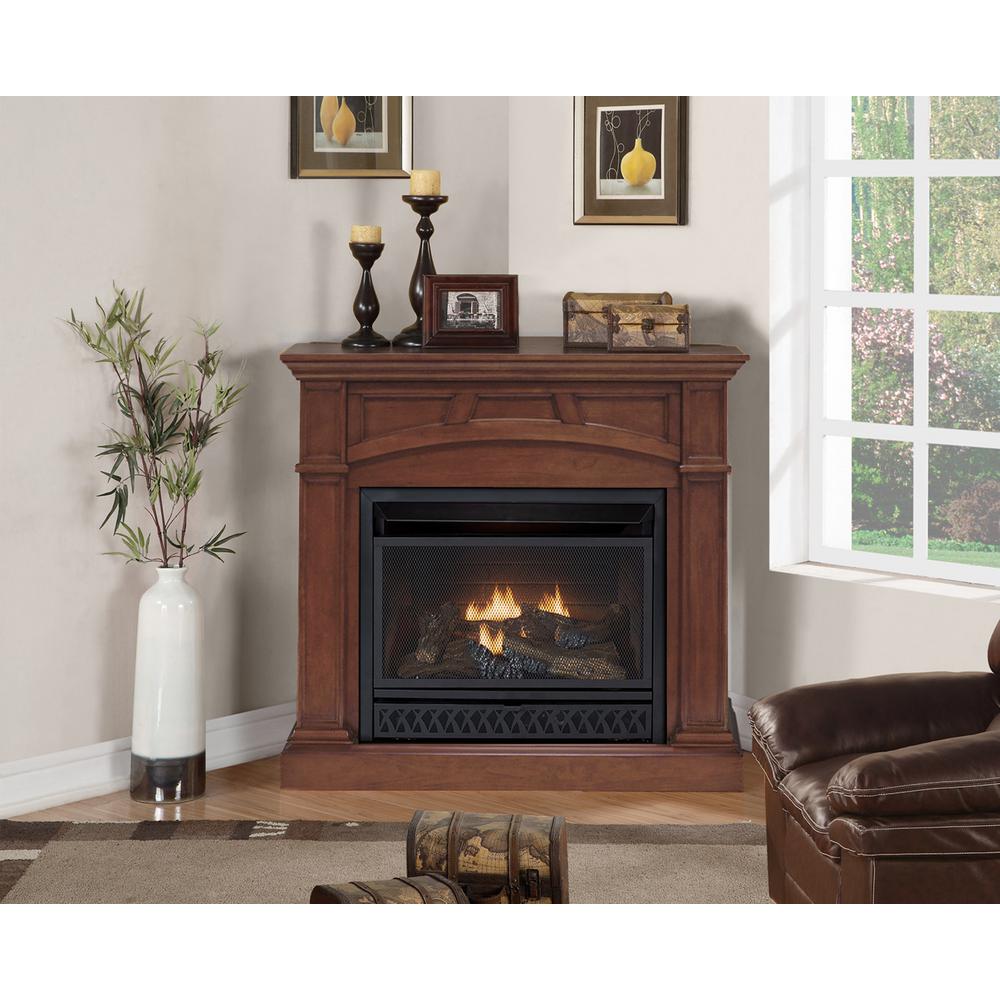 Emberglow 43 In Convertible Vent Free Dual Fuel Gas Fireplace In